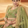 Green Multi Zari Embroidery Wedding Silk Lehenga