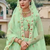 Mint Green Multi Embroidery Traditional Lehenga Choli