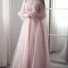 Plain Embroidered Net Light Pink Gown