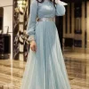 Powder Blue Net Embroidered Gown