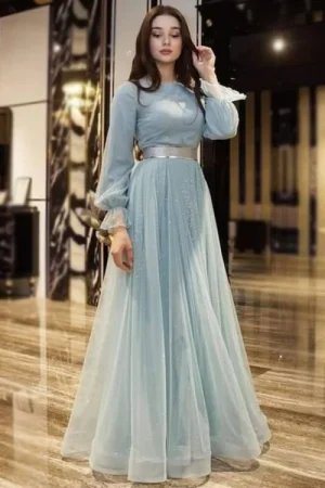 Powder Blue Net Embroidered Gown
